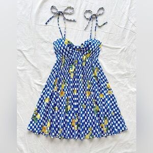 Blue and White Checkered trapeze dress with Lemon Print